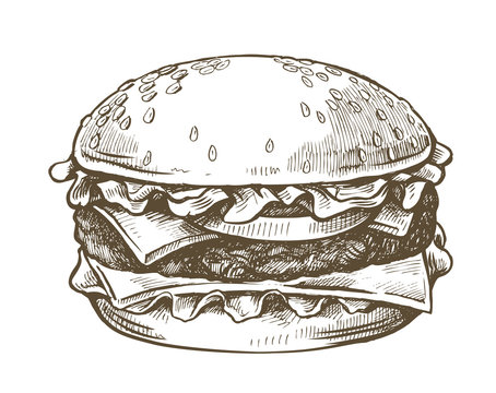 vector hand drawn hamburger