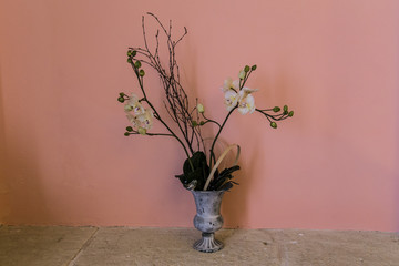 Dried decoration plant on  a solid salmon color wall