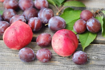 Fresh plums and peaches on wooden background 