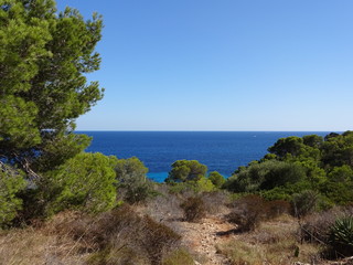 Coast of Mallorca