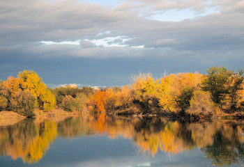 Fall landscape with yellow trees reflected in a pond. 