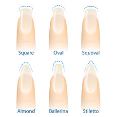 Nail manicure, set of nails shapes - oval, square, almond, stiletto, ballerina squoval Vector © DruZhi Art