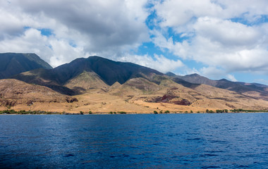 Maui Hills Landscape