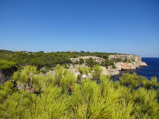 Fototapeta premium Coast of Mallorca