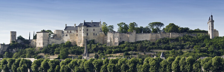 Fototapeta na wymiar Forteresse Chinon, Loire, Frankreich