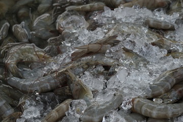 fresh shrimp in ice tray is waiting to be sold to customers in the market.