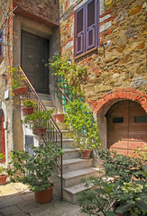 Old stone house with stairs decorated with green plants in pots, Montemerano, Tuscany, Italy.