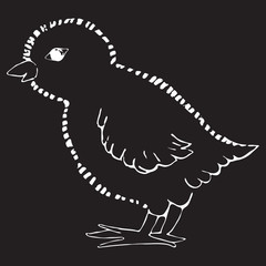 A picture of a chicken on a black background. vector illustration. Hand drawing
