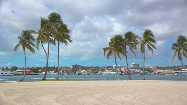 Nassau Bahamas Casuarina Beach on Paradise Island with palm Trees on Pink Sand and Passing Boats in an Exotic Setting in the Bahamian Capital