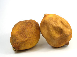 couple of aged lemmon over white background