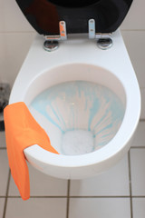 WC Hygiene, WC mit orange farbenden Putzlappen und blauem Flüssigreiniger