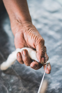 Natural Indigo Dye