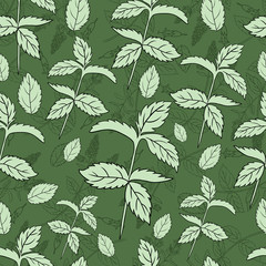 Mint leaf peppermint isolated on green background, Hand drawn vector seamless floral pattern, spicy herb kitchen texture line art, Doodle cooking ingredient for design package tea, wallpaper, cosmetic