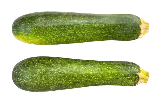 yellow squash vegetable