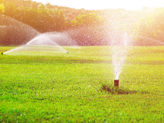 automatic lawn watering system irrigating grass, toned, sunlight effect