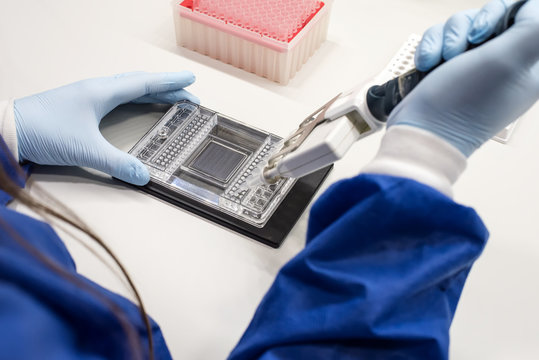 Female scientist on a laboratory working with a multi-pipette and a DNA chip
