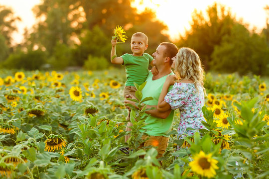 beautiful family holds a baby son in a sunflower field. tenderness, smiles, happiness