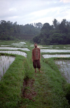 Young man in the rice fields