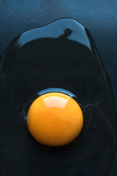 Fresh raw egg on a dark background