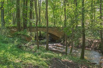 Most nad rzeką w lesie.