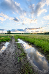Fototapeta na wymiar countryside fields in summer with dramatic sunset