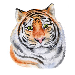 Tiger face illustration isolated on white background. Watercolor. Hand made by paints. Printing, books, textiles, design, postcard, book