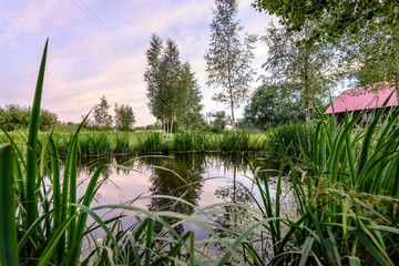 colorful clouds over the summer lake