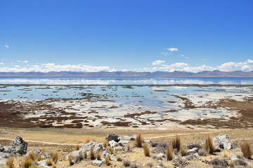 Fototapeta na wymiar Lago Junín