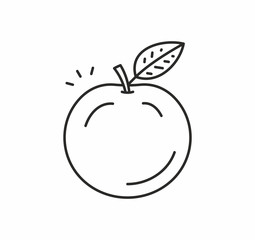 Apple vector icon