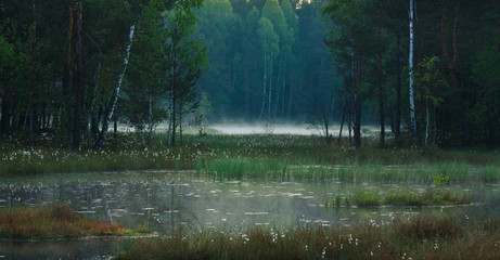 Bagno o poranku © Grzegorz