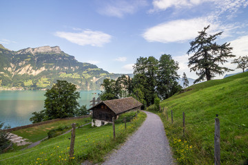 Fototapeta na wymiar Urner Lake near Lucerne in Switzerland