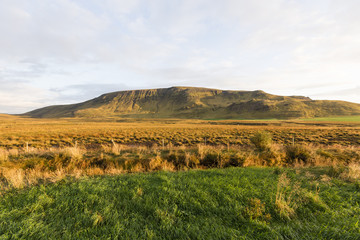 Landscape in iceland during the autumn with golden colors