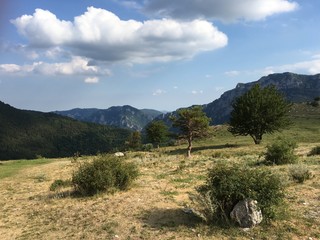 pendici del Mongioie