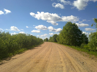 Fototapeta na wymiar Rural dirt road among the bushes. Mobile photo