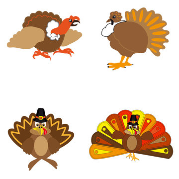 Icons turkeys on a white background to the day of Thanksgiving.
