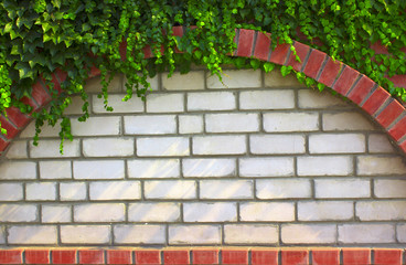 A brick arch covered with green leaves of bushes