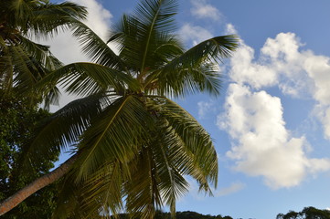Plages de Seychelles