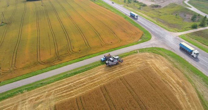 Aerial view Combine Harvester gathers the wheat at sunset. Harvesting grain field, crop season. Beautiful natural aerial landscape. Food industry.