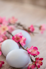 Fototapeta na wymiar Blue Pastel Colored Easter Eggs and Cherry Blossoms on White Wood Background