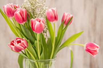 Vase of Pink Tulips and Babys Breath