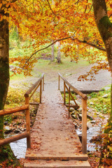 Fototapeta na wymiar Autumn landscape - wooden bridge in the autumn park