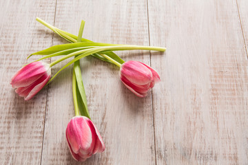 Three Pink Tulips on Wood Background