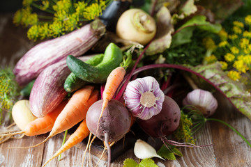 Assortment of raw fresh vegetables