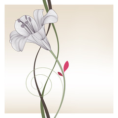 Beautiful abstract floral background with hand-drawn flower lily. Vector illustration. Element for design.