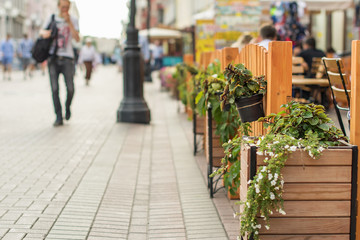 Street flowers in a European city