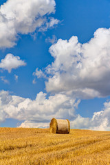 Straw bales on a field in summer