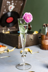 Pink rose in a glass on a background of a gramophone