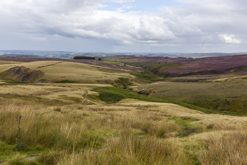 Obraz premium bronte and the moors
