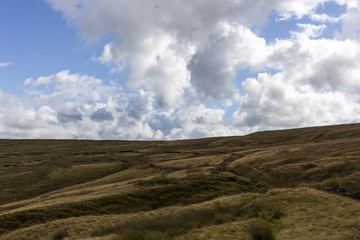 Fototapeta premium bronte and the moors