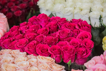 bouquets of roses in different colors